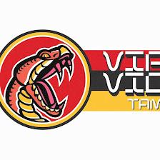 Viper Video Tampa