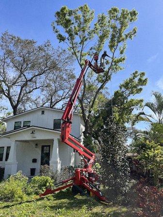 Mark Michaels Tree Service