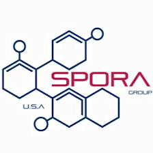 Spora Mold Remediation