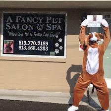 A Fancy Pet Salon & Spa,LLC