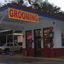 Low Cost Grooming