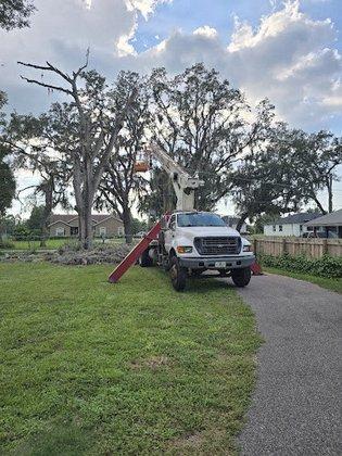 Joe's Tree Service Inc
