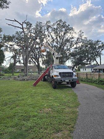 Joe's Tree Service Inc
