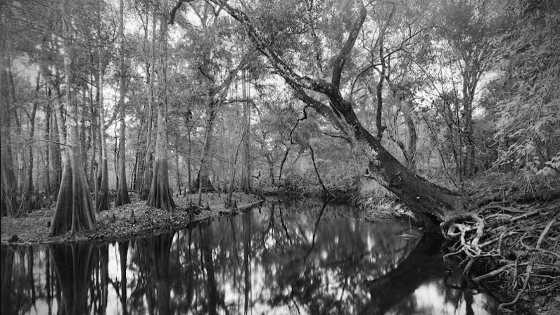 Steven Cavanah Darkroom Photography