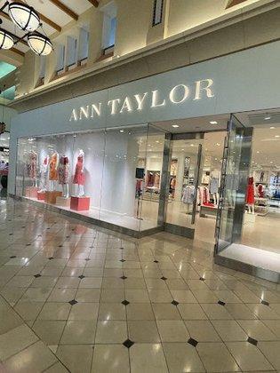 Ann Taylor