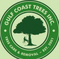 Gulf Coast Trees
