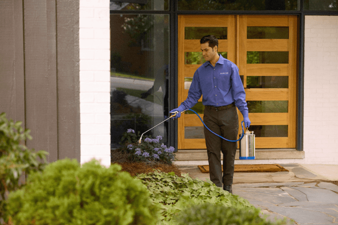 PURCOR Pest Solutions