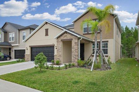 Tampa Bay Elite Homes, LLC