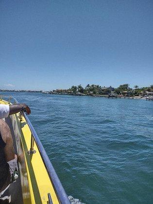 Dolphin Racer
