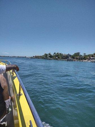 Dolphin Racer