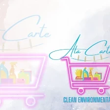 Ala Carte Clean Environmental, ACE