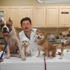 Animal Wellness Centre of Wesley Chapel