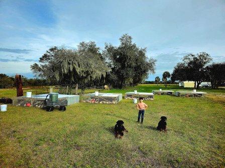 Regeneration Family Farm