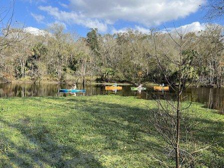 Wilderness Conservation Park Morris Bridge Site