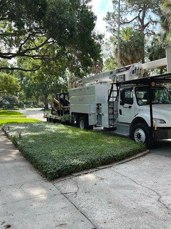 Miller & Sons Tree Service