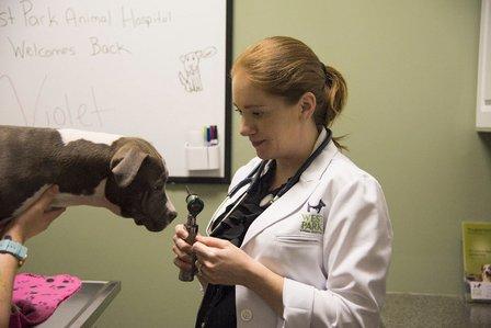 West Park Animal Hospital
