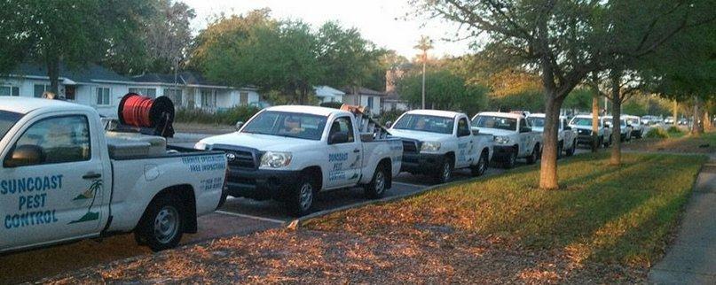 Suncoast Pest Control