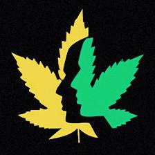 Jones Genetics Dispensary