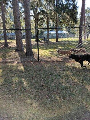 Plant City Dog Park