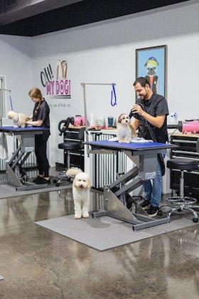 Tampa Paws Pet Salon