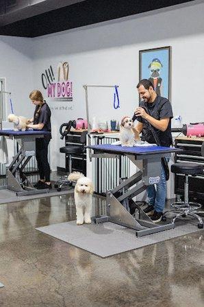Tampa Paws Pet Salon