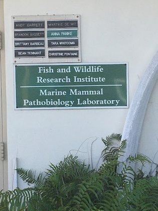 Marine Mammal Pathobiology Lab