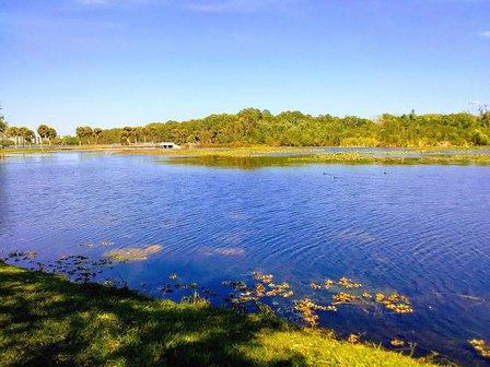 Taylor Park Boat Ramp