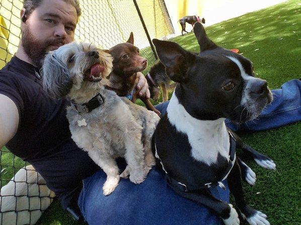 Barks & Recreation