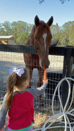Equestrian Inc.