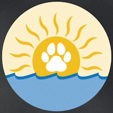 Bay Paws Pet Resort - Wesley Chapel