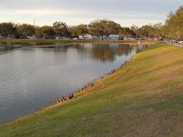Dr. Hal & Lynn Brewer Park