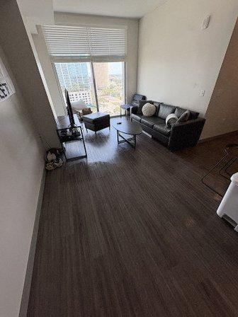 Tampa Premium Cleaning LLC.