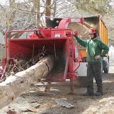 Troyer Tree Service