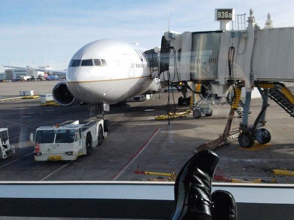 United Airlines Cargo