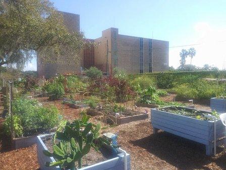 Clearwater Community Gardens, Inc