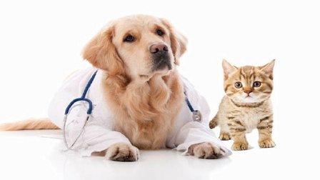 Oakhurst Veterinary Hospital