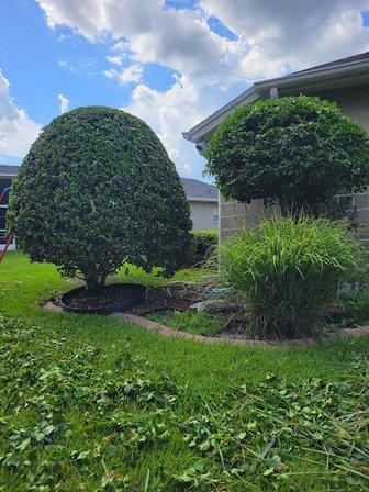 A Stellar Property Maintenance