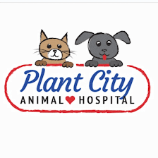 Plant City Animal Hospital
