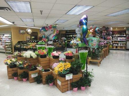 Publix Super Market at Terrace Ridge Plaza