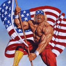 Hulk Hogan's Wrestling Shop