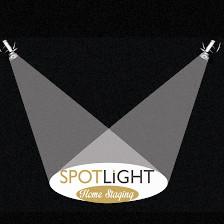 Spotlight Home Staging Pros