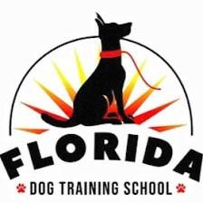 Florida Dog Training School - Wesley Chapel Dog Trainer