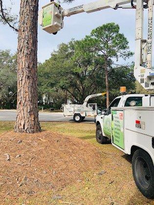 Troyer Tree Service