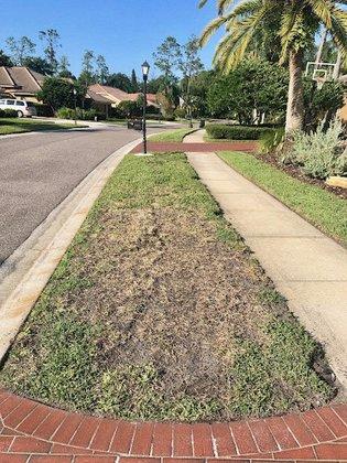 Southern Green of Tampa