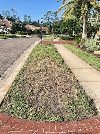 Southern Green of Tampa