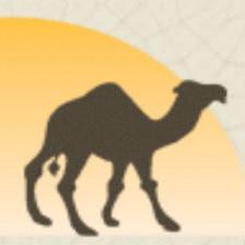 Treasures of Morocco