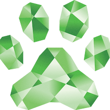 Furology Pet Grooming