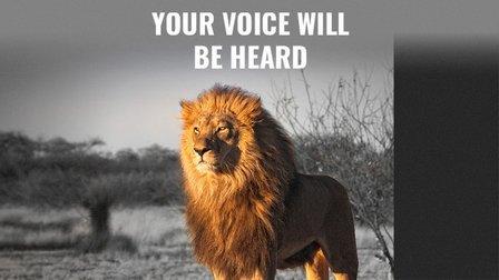 Legal Lion Employment Law Firm PLLC