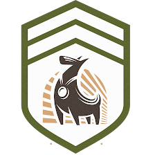 Tampa Dog Bootcamp