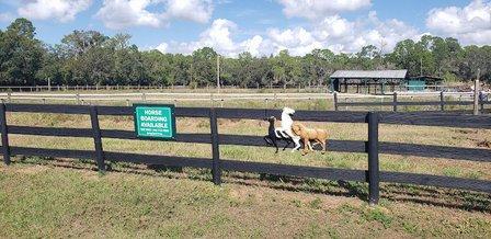 Spring Rock Farms LLC